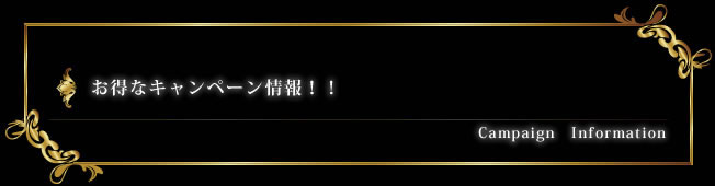 お得なキャンペーン情報！！