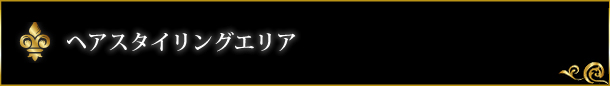 ヘアスタイリングエリア