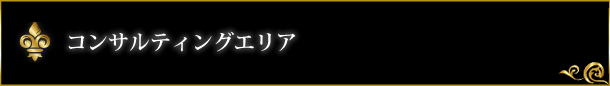 コンサルティングエリア